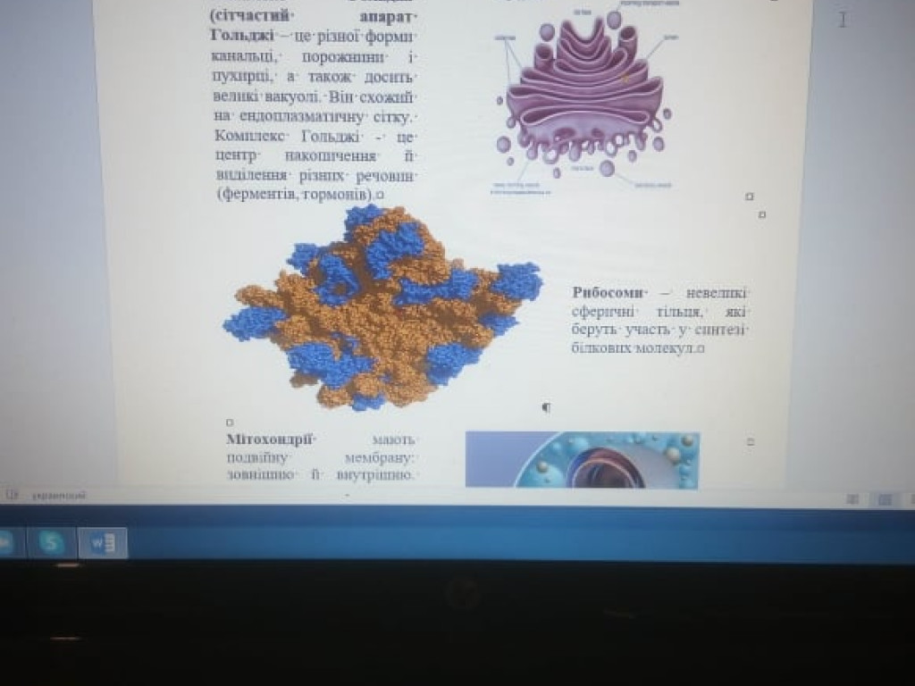 Навчання під час карантину.